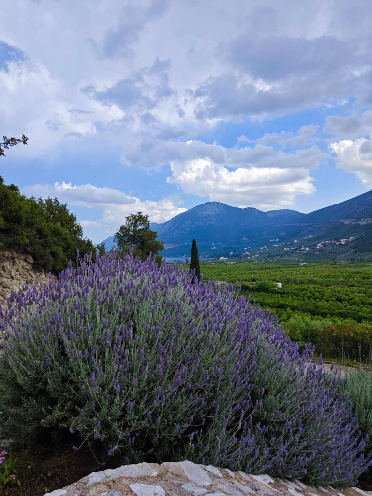 Melissafarm Guest House Epidaurus Buitenkant foto