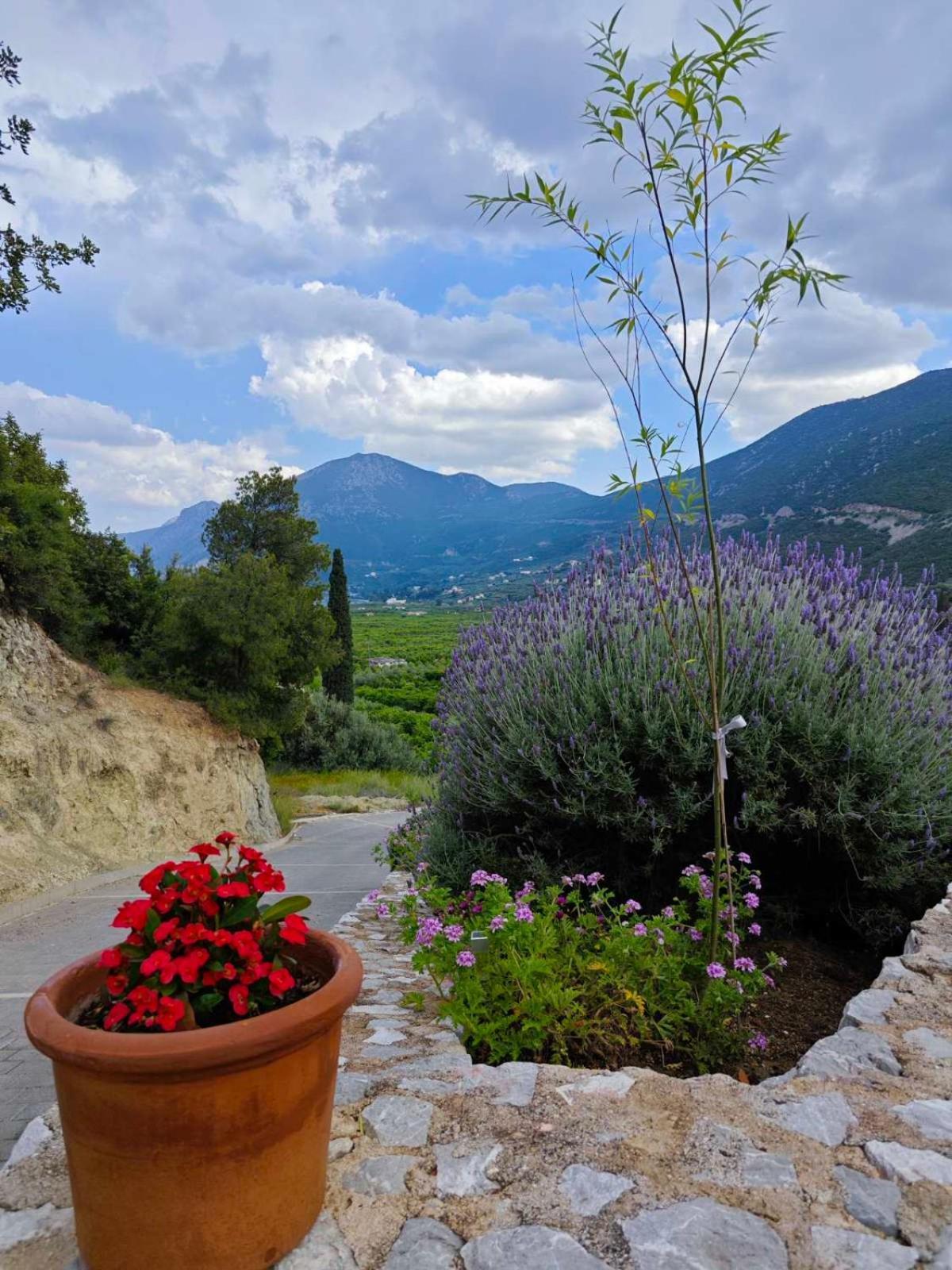 Melissafarm Guest House Epidaurus Buitenkant foto